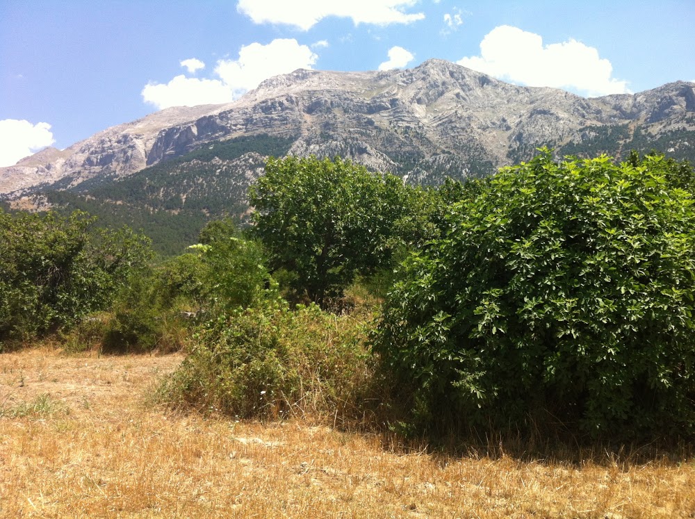 Yeşilbağ Cumhuriyet İlkokulu Fotoğrafları 1