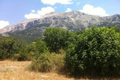 Yeşilbağ Cumhuriyet İlkokulu fotoğraf 1