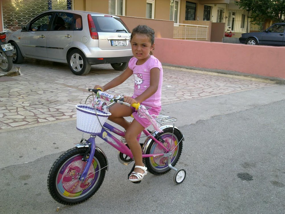 Özel Alem Mesleki Ve Teknik Anadolu Lisesi? Fotoğrafları 7