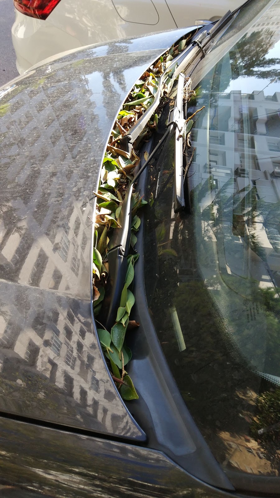 Mecdude Başakıncı Ortaokulu Fotoğrafları 3