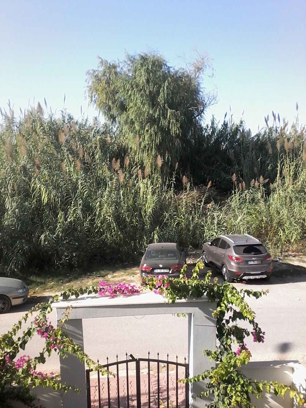 Melahat Faraçlar İlkokulu Fotoğrafları 2