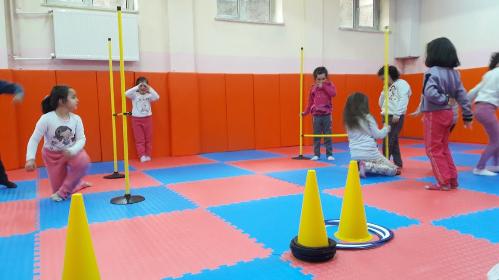 Güleş İlkokulu Fotoğrafları 2