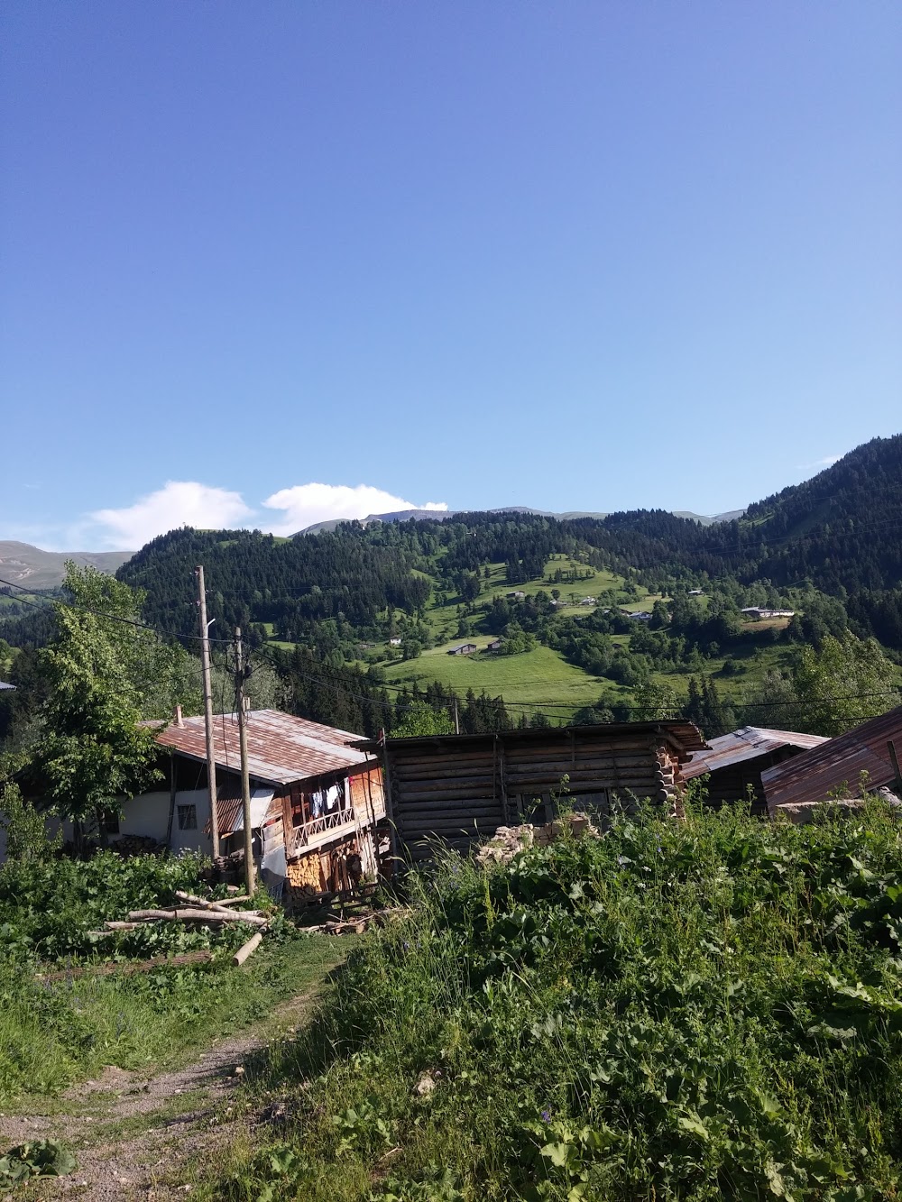 Güleş İlkokulu Fotoğrafları 1