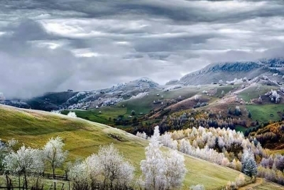 Ardanuç Tütünlü Yatılı Bölge Ortaokulu fotoğraf 1