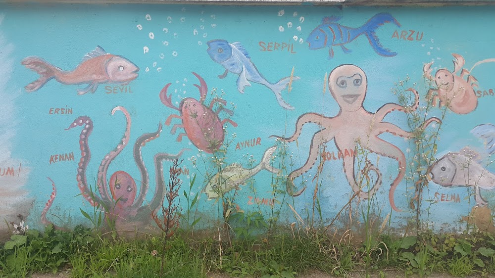 Arhavi Mehmet Nazif Günal İlkokulu, Artvin - Neredeoku.com