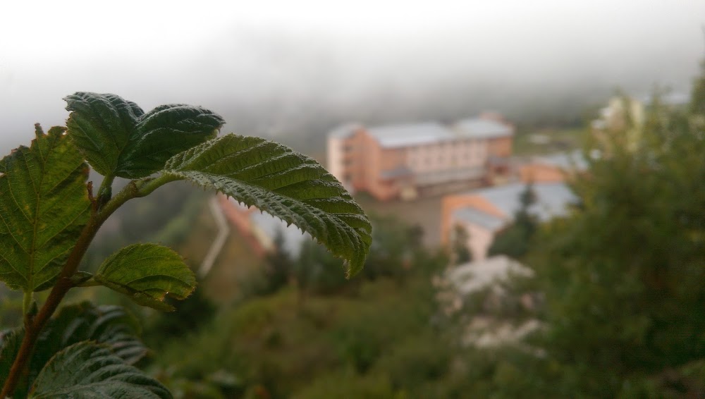 Meydancık Çok Programlı Anadolu Lisesi Fotoğrafları 1