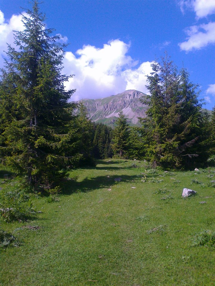 Şavşat Pınarlı İlkokulu Fotoğrafları 6