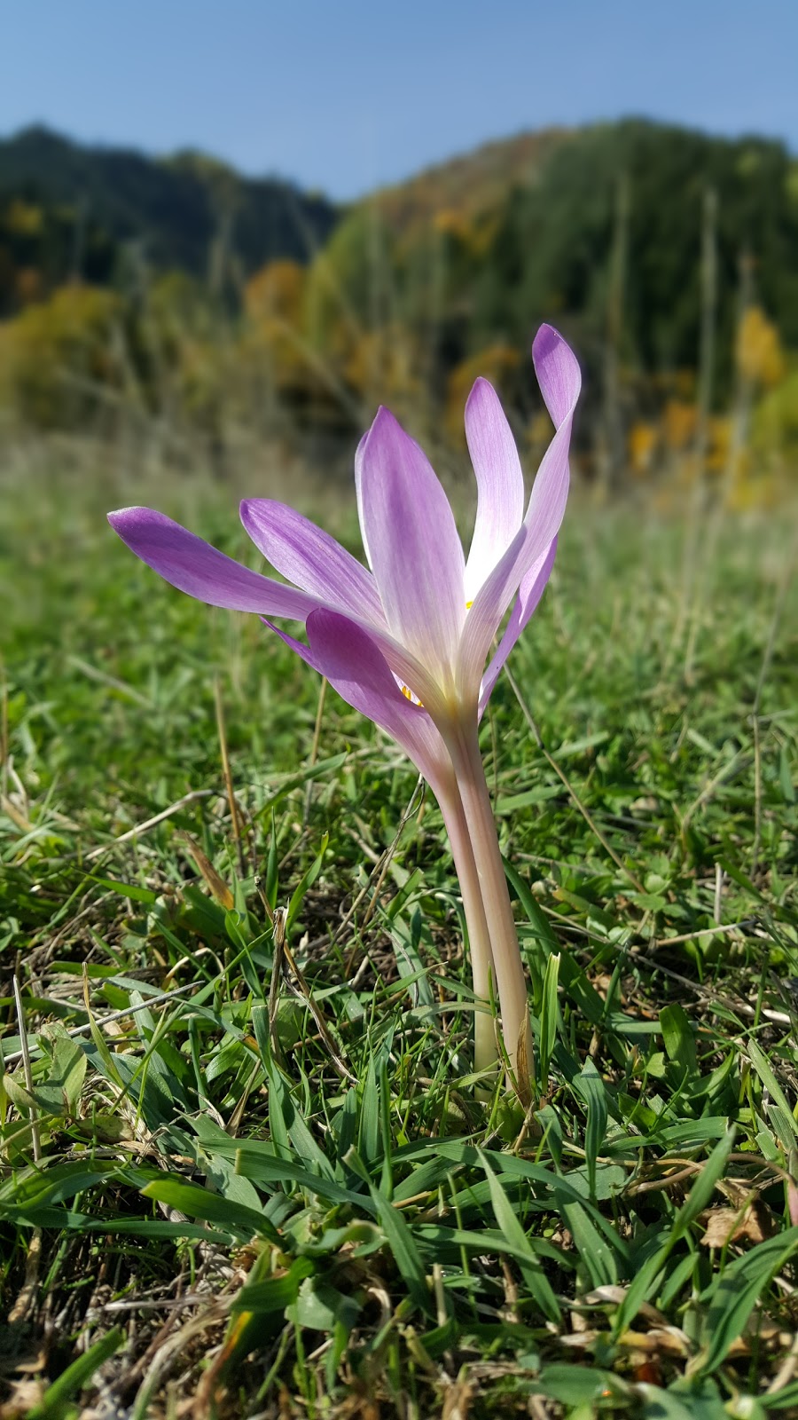 Şavşat Pınarlı İlkokulu Fotoğrafları 3