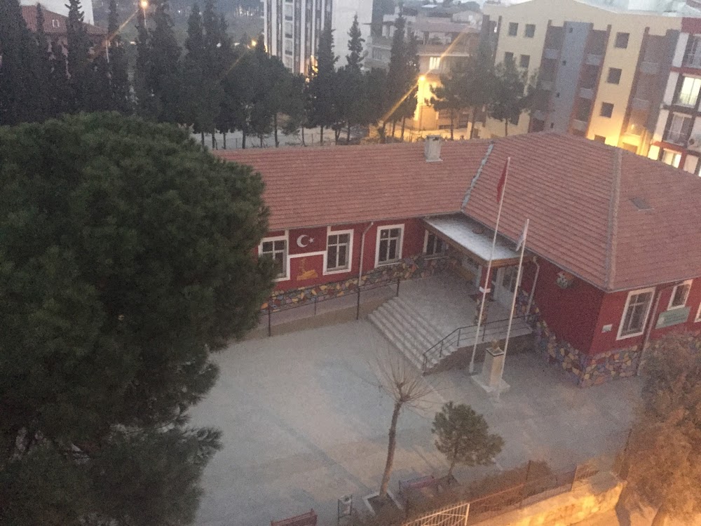 Atatürk Özel Eğitim İlkokulu Fotoğrafları 1