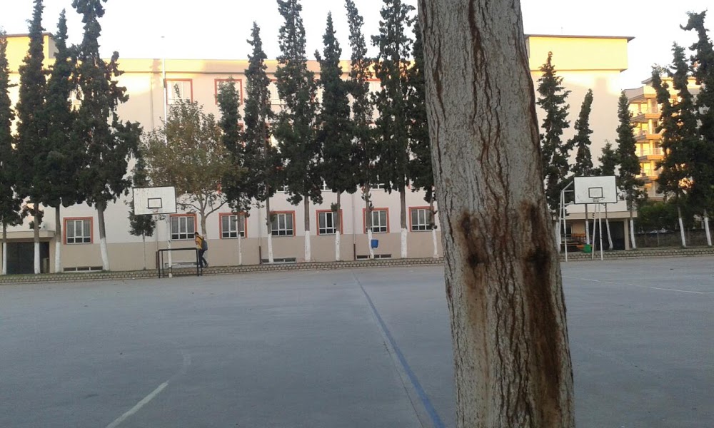 Aydın Lisesi Fotoğrafları 7