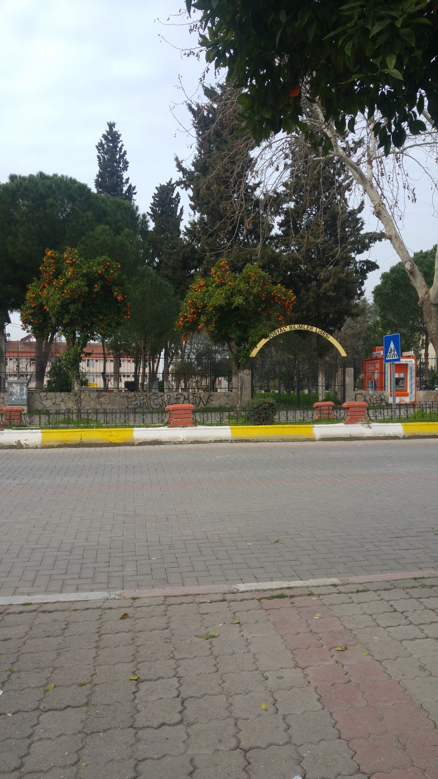 Aydın Sosyal Bilimler Lisesi Fotoğrafları 4