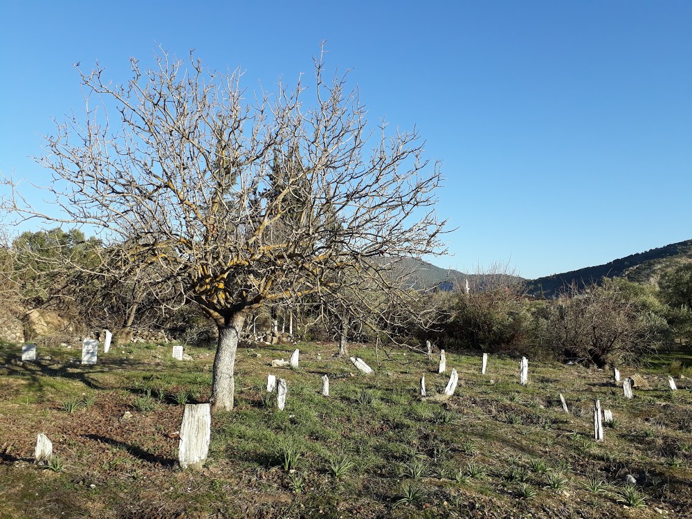 Amasya Üzeyir Emre İlkokulu Fotoğrafları 6