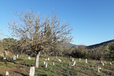 Amasya Üzeyir Emre İlkokulu fotoğraf 6