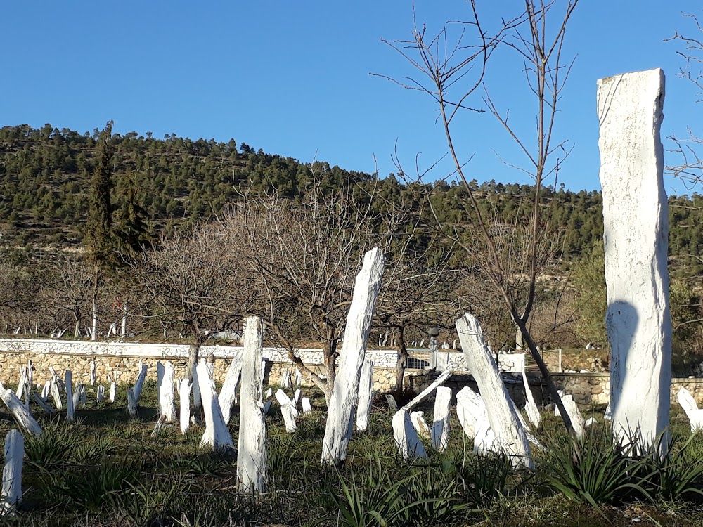 Amasya Üzeyir Emre İlkokulu Fotoğrafları 1