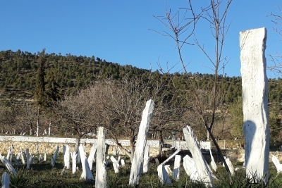 Amasya Üzeyir Emre İlkokulu fotoğraf 1