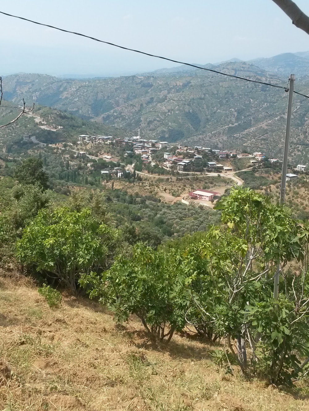 Aydın Bozdoğan Örencik İlkokulu Fotoğrafları 1