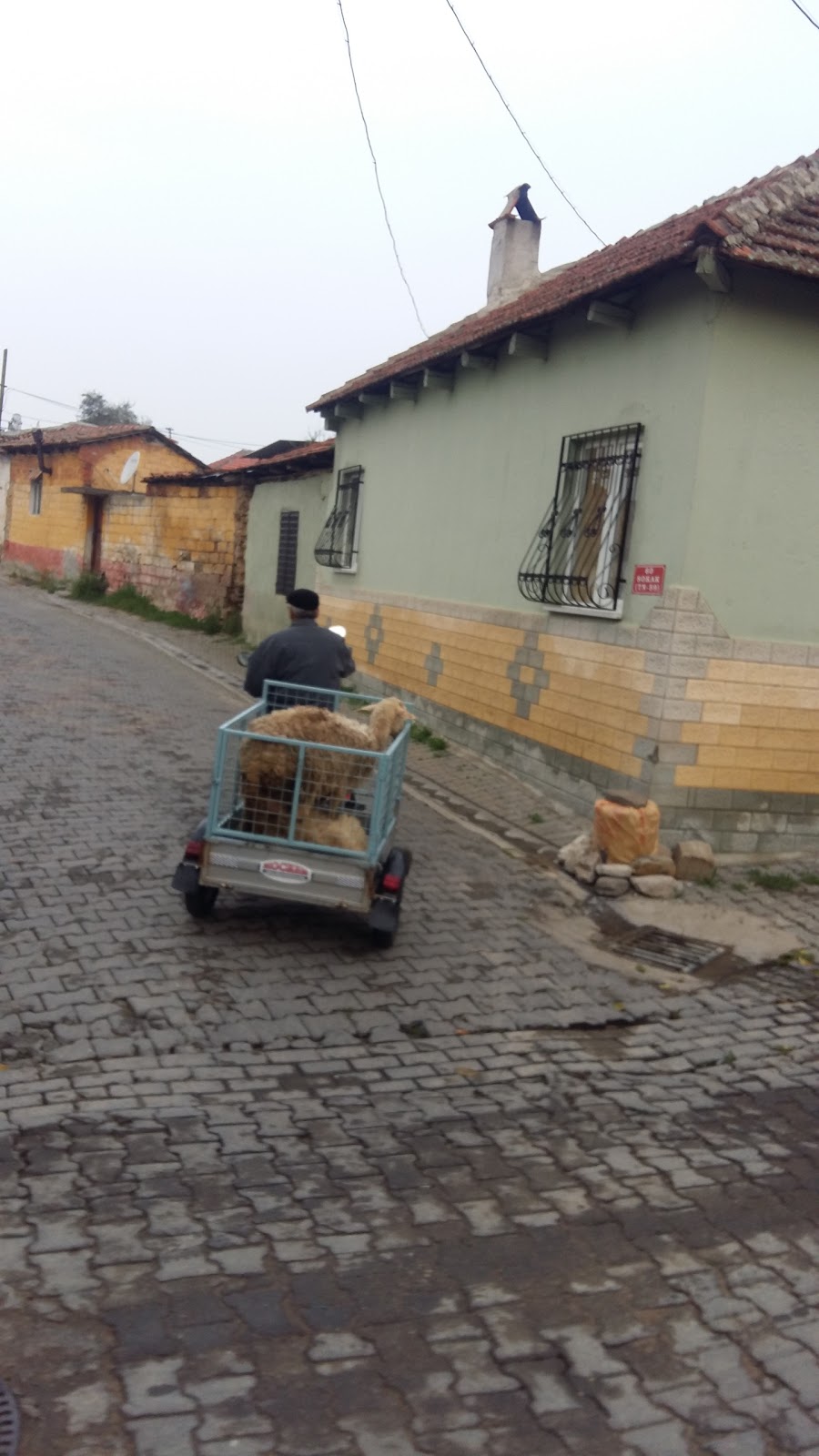 Hüseyin Özkan İlkokulu Fotoğrafları 1