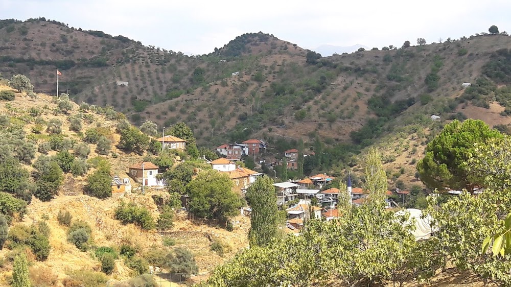 Aydın Germencik Meşeli İlkokulu Fotoğrafları 2