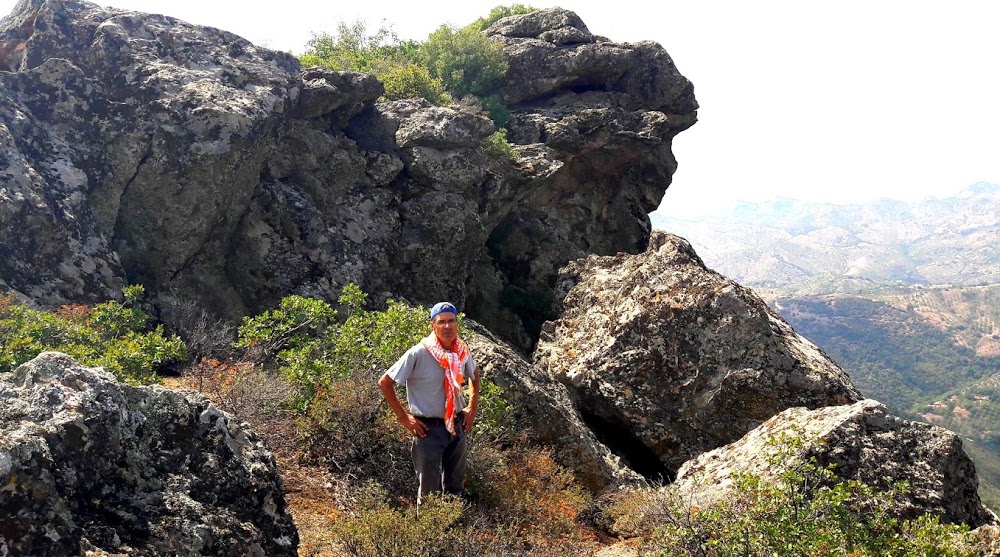 Aydın Germencik Meşeli İlkokulu Fotoğrafları 1