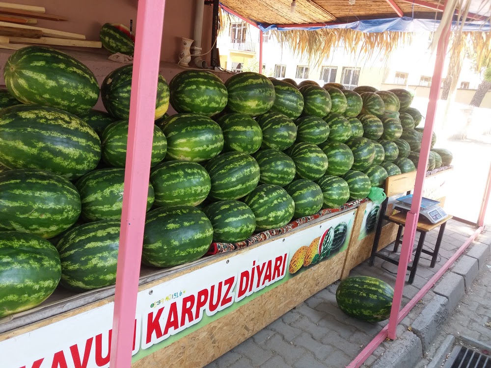 Şehit Cafer Ortaokulu Fotoğrafları 1