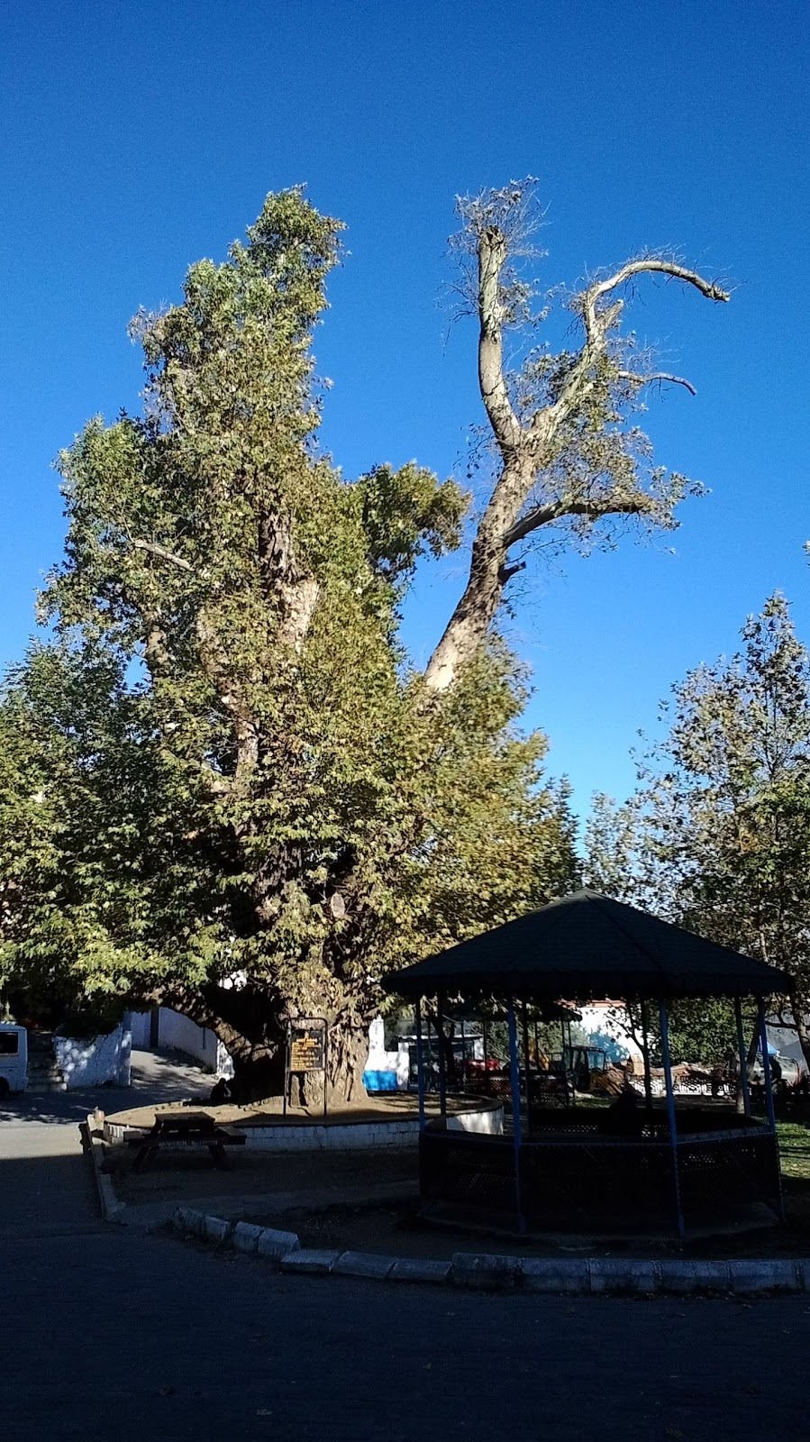 Selatin İlkokulu Fotoğrafları 5