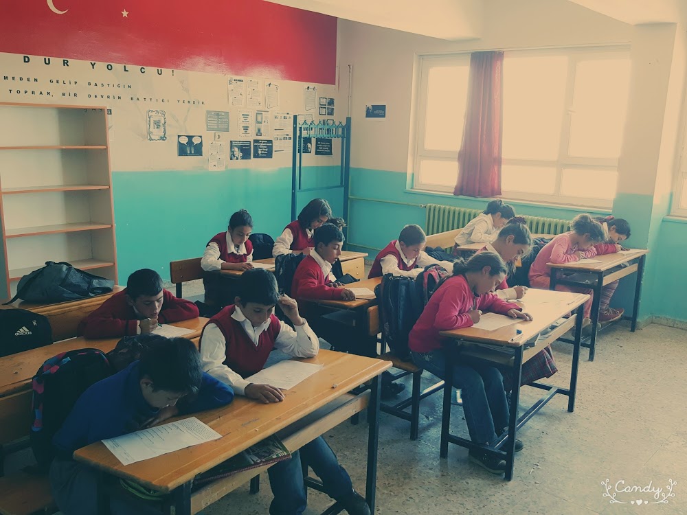 Alemler Ortaokulu Fotoğrafları 1