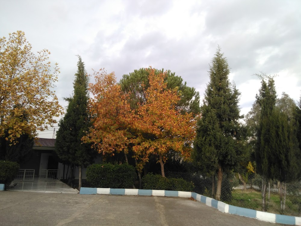 Çine Atatürk İlkokulu Fotoğrafları 7