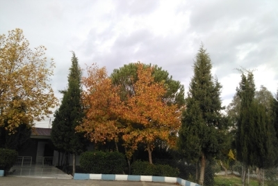 Çine Atatürk İlkokulu fotoğraf 7