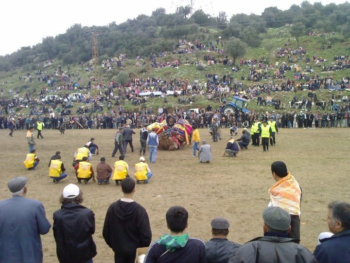 Koçarlı Haydarlı İlkokulu Fotoğrafları 1