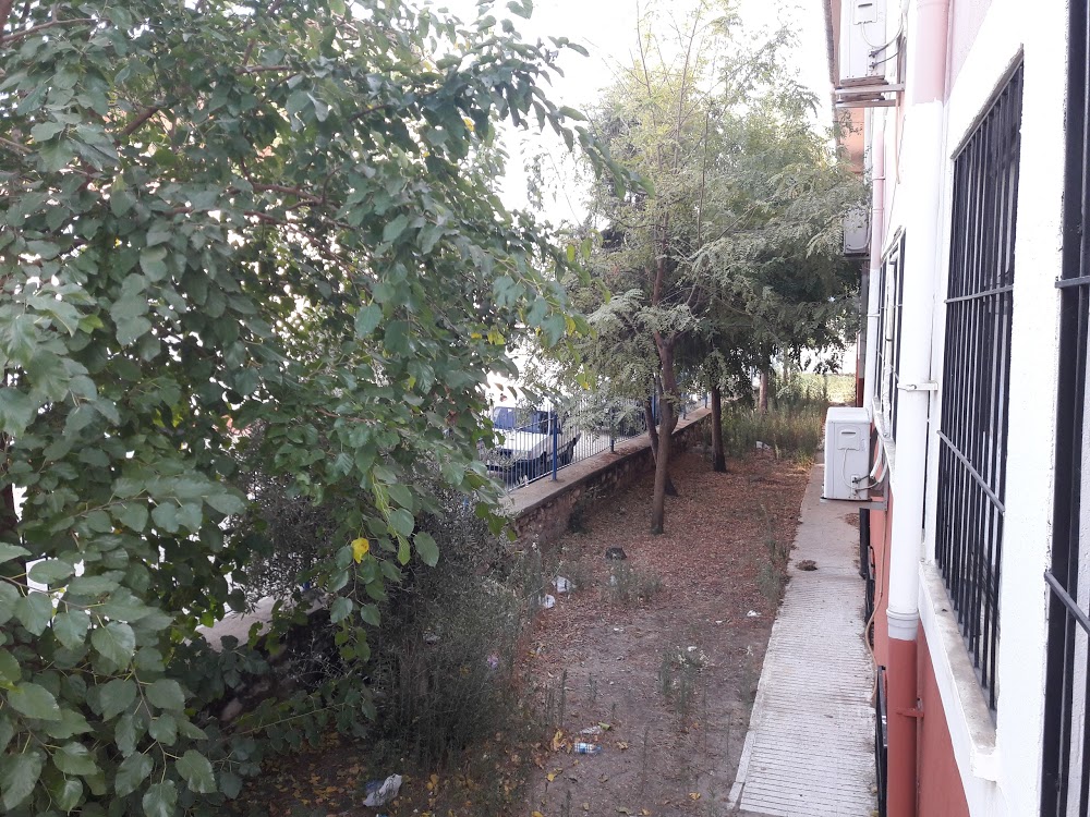 Koçarlı Adnan Menderes İlkokulu Fotoğrafları 1