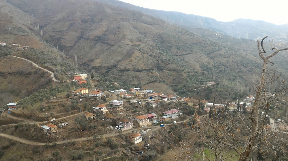 Cumayanı Ortaokulu Fotoğrafları 3