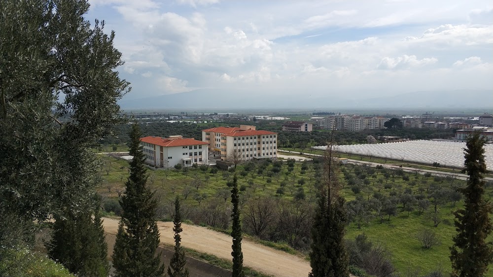 Köşk Mesleki Ve Teknik Anadolu Lisesi Fotoğrafları 1