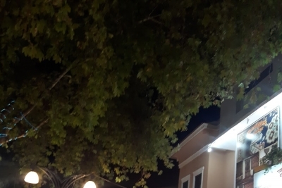 Kuşadası Mesleki Ve Teknik Anadolu Lisesi fotoğraf 4