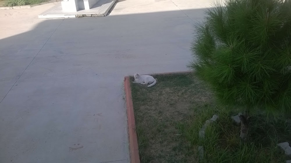 Kuyucak Anadolu Lisesi Fotoğrafları 2