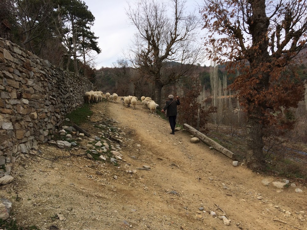 Kuyucak Taşoluk İlkokulu Fotoğrafları 1