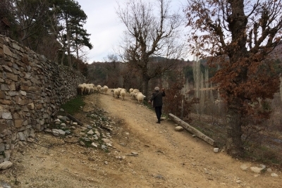 Kuyucak Taşoluk İlkokulu fotoğraf 1
