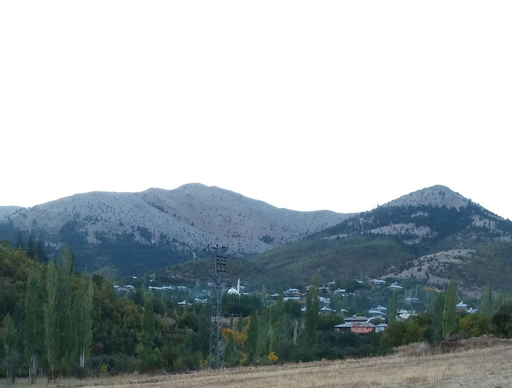 Aydın Esenköy Ortaokulu Fotoğrafları 1