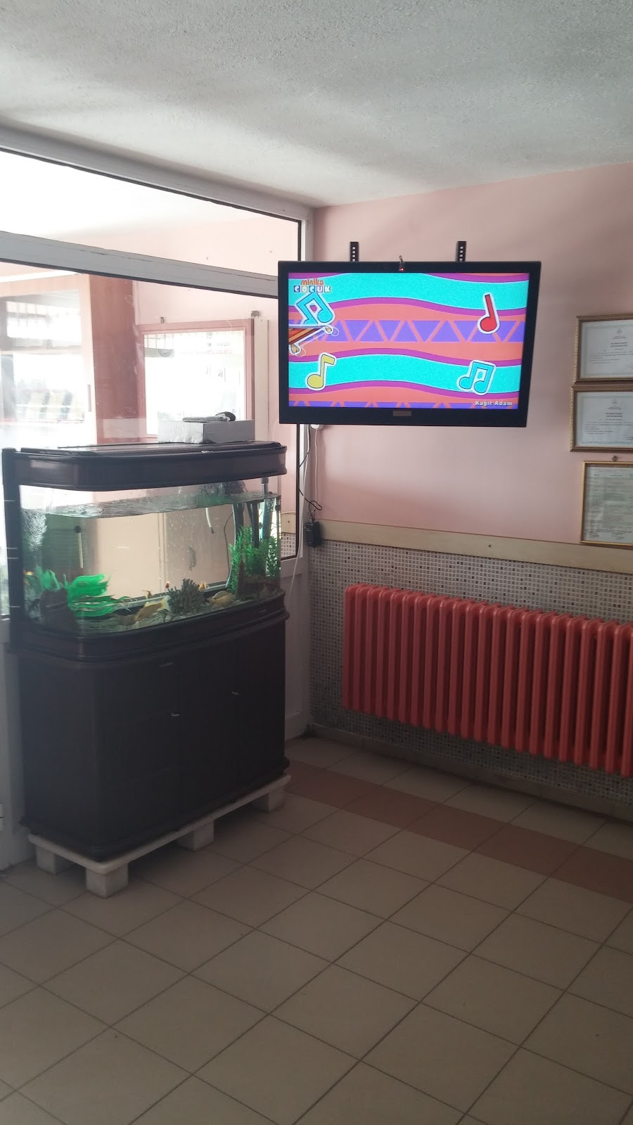 Nazilli Hasköy İlkokulu Fotoğrafları 3