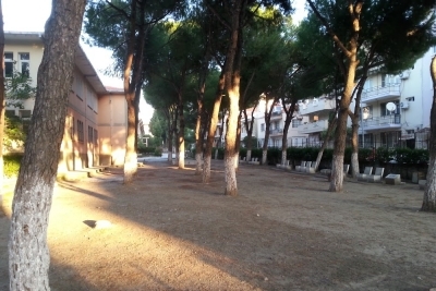 Söke Anadolu Lisesi fotoğraf 3