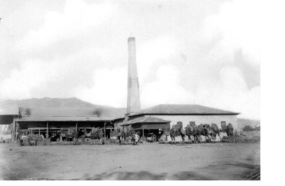Söke Cafer Efe Mesleki Ve Teknik Anadolu Lisesi Fotoğrafları 1