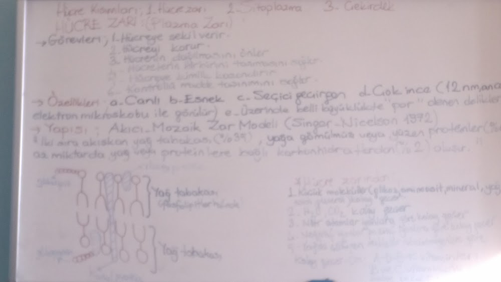 Atca Mesleki Ve Teknik Anadolu Lisesi Fotoğrafları 5