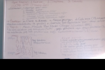 Atca Mesleki Ve Teknik Anadolu Lisesi fotoğraf 5