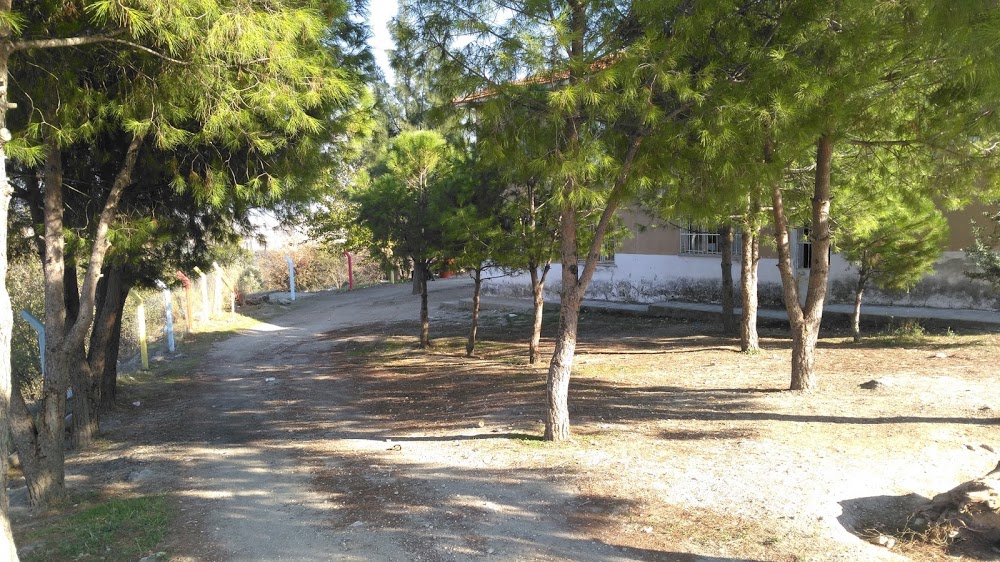 Hamzabali Ortaokulu Fotoğrafları 1