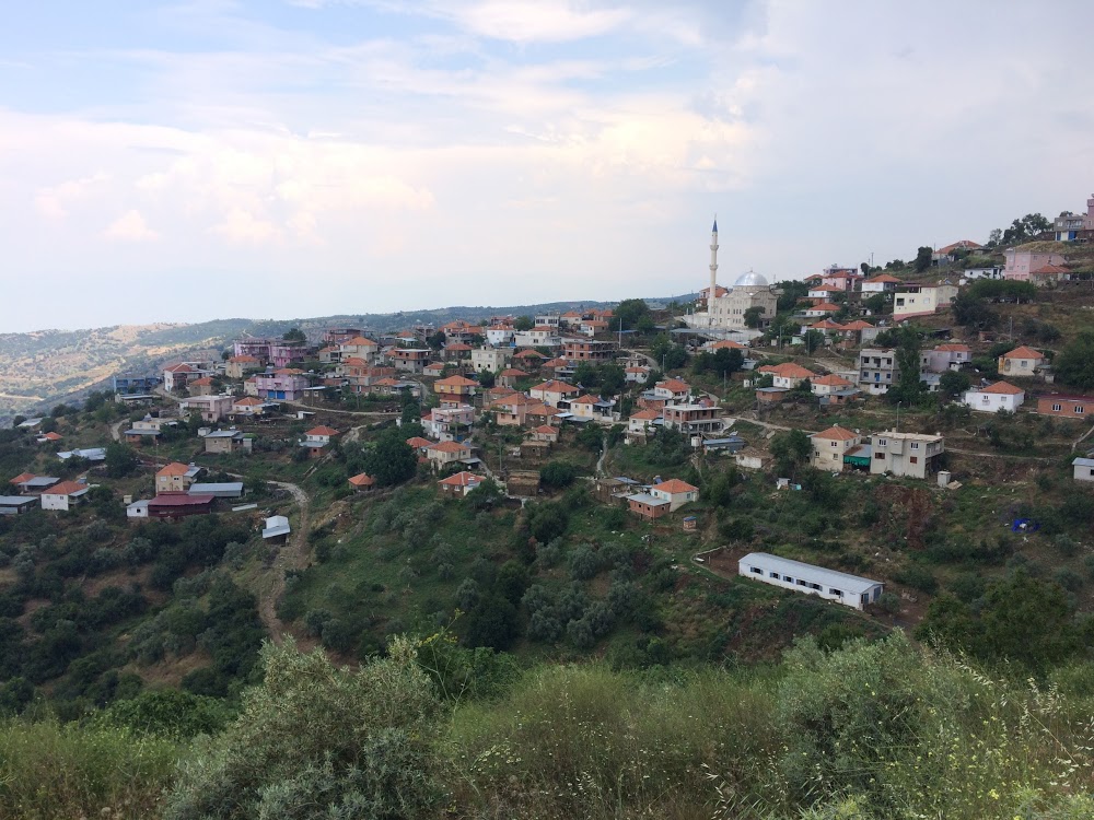 Koyunlar İlkokulu Fotoğrafları 2