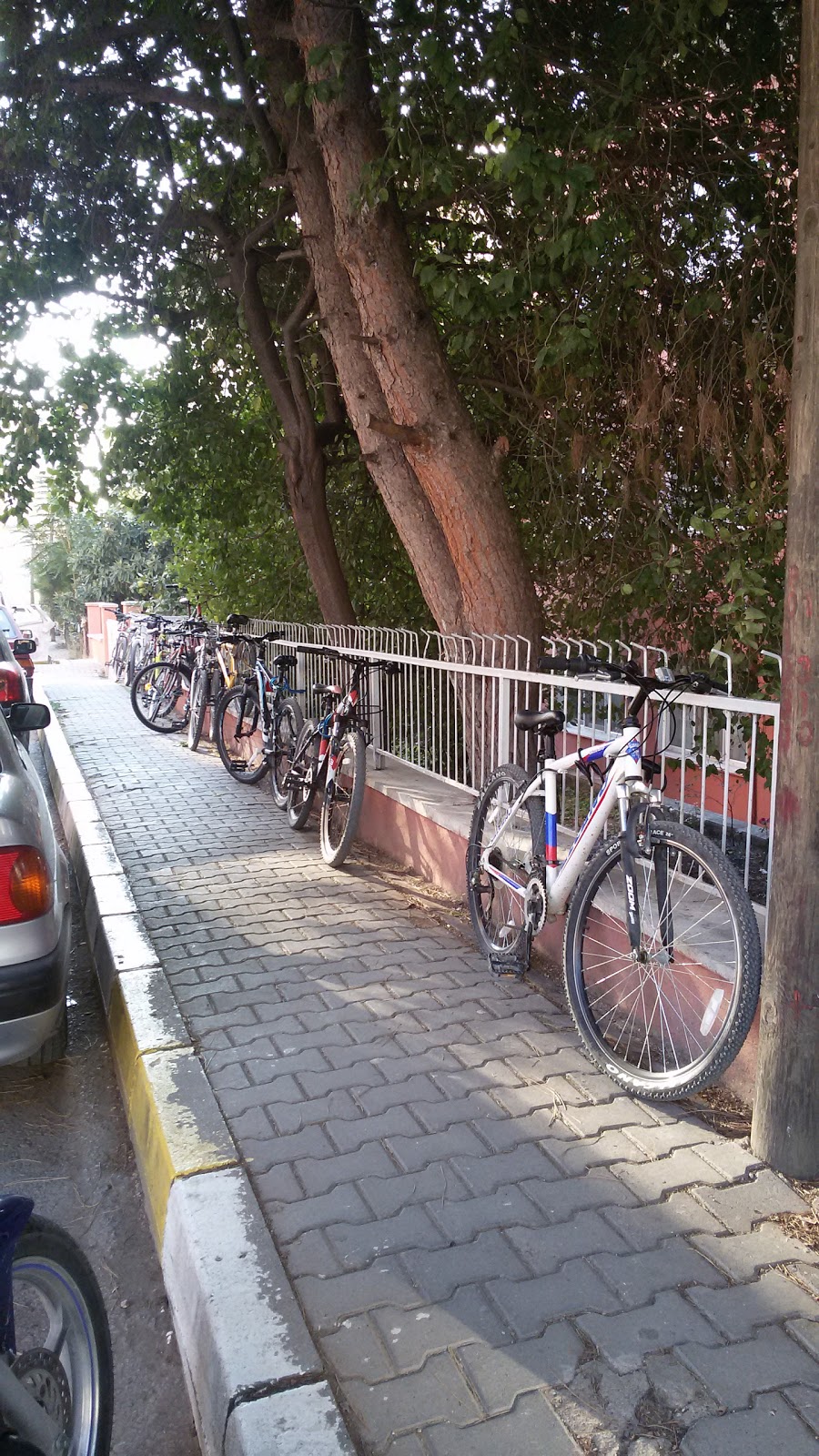 Yarışlı Ortaokulu Fotoğrafları 2