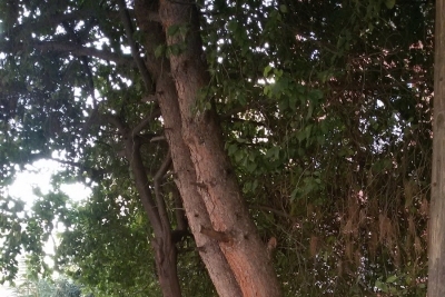 Yarış Ortaokulu fotoğraf 2
