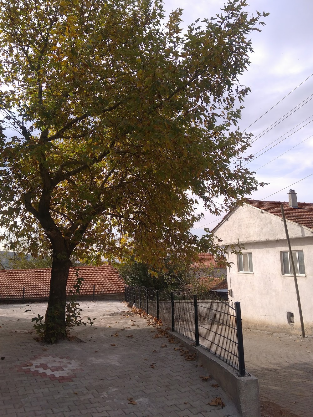 Bakacak Şehit Yüksel Bayhan Ortaokulu Fotoğrafları 1