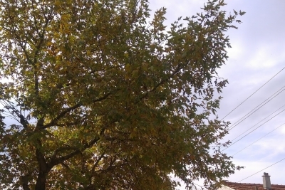 Bakacak Şehit Yüksel Bayhan Ortaokulu fotoğraf 1