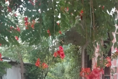 Kocaavşar İlkokulu fotoğraf 2