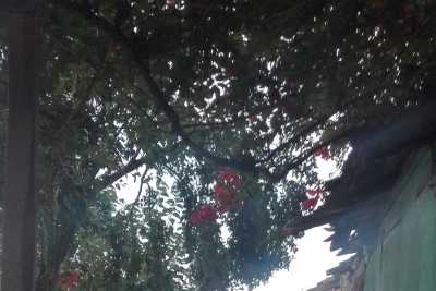 Kocaavşar İlkokulu fotoğraf 3